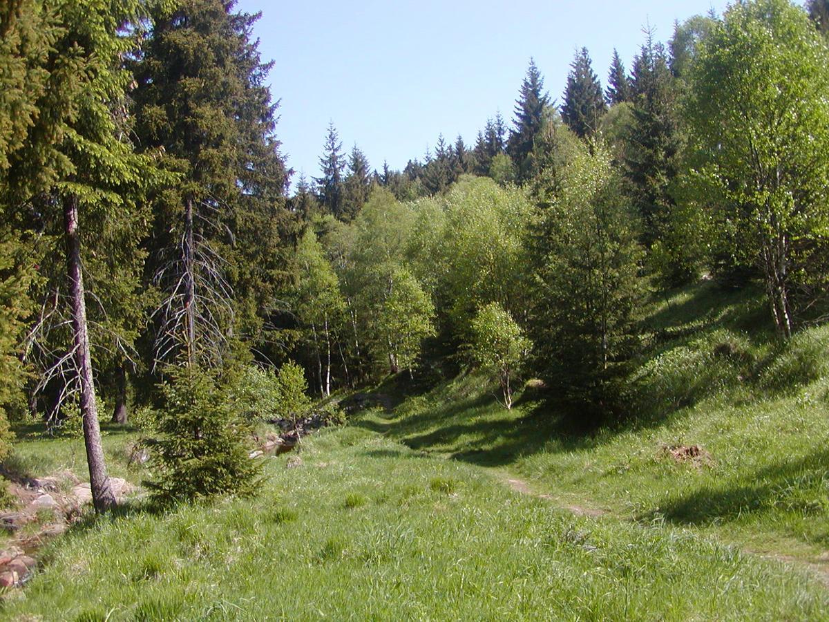 Ferienwohnung Petzold Altenberg  Kültér fotó